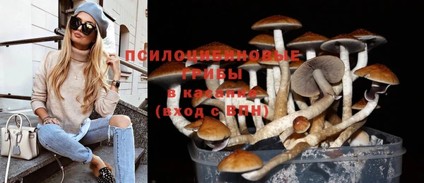 трава Армянск